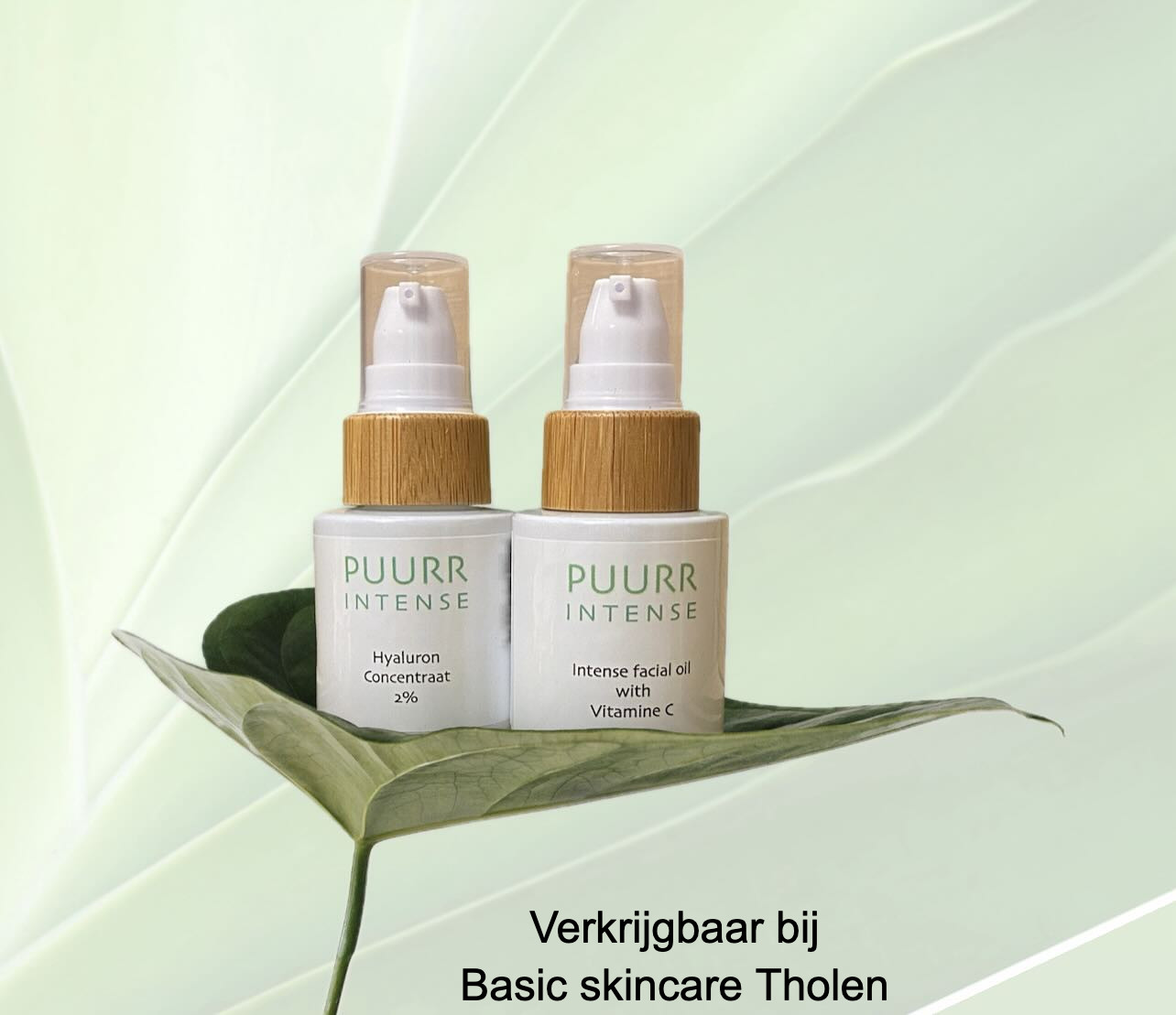 KLIK OP DE FOTO voor meer informatie